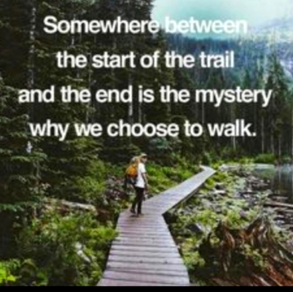 βοΈ VNTG 1975 MAGIC KINGDOMS Book Walt Disney Collectible! - Picture 16 of 17